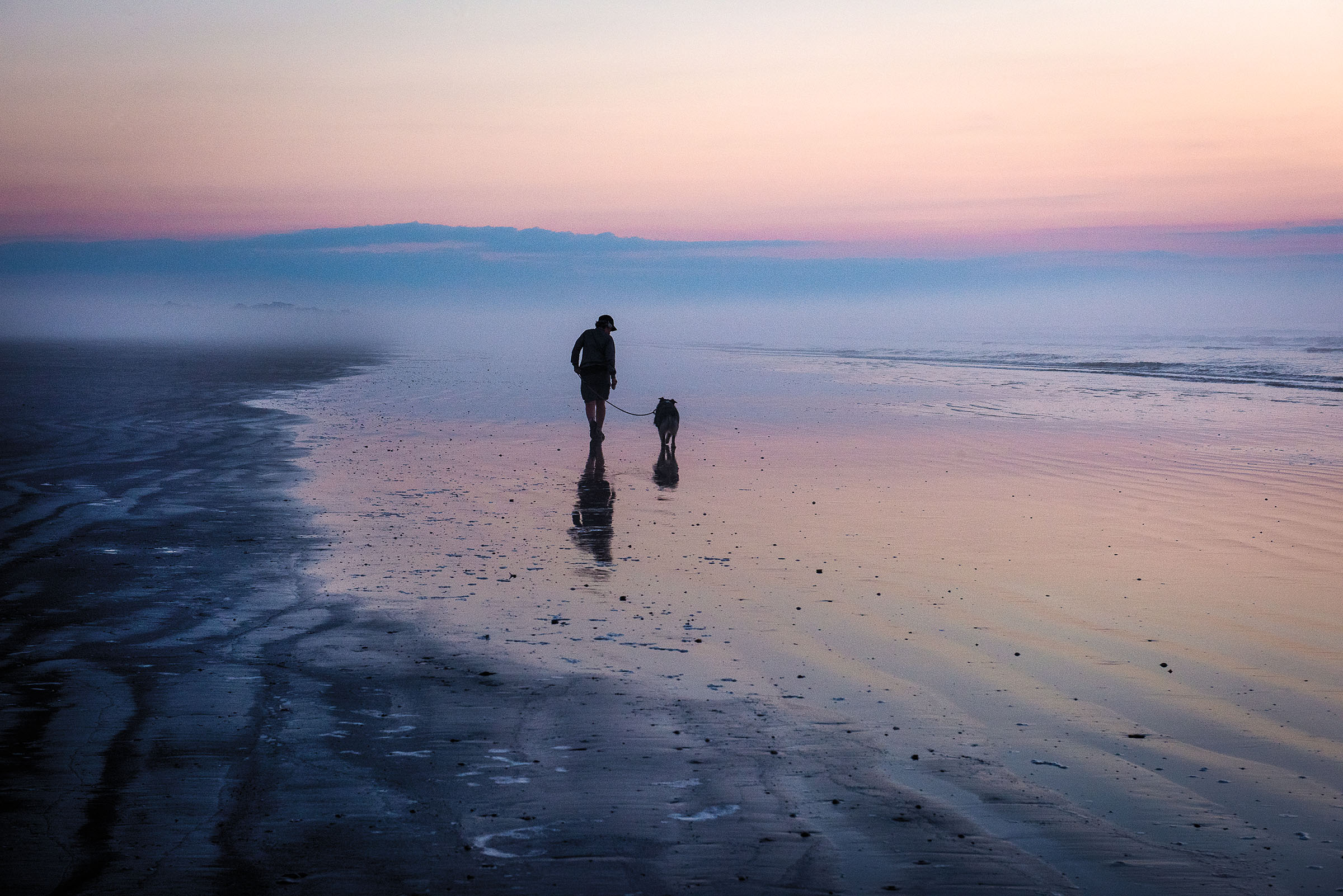 A person and a dog walk along wet sand as purple and pink light illuminate the morning sky along the sea