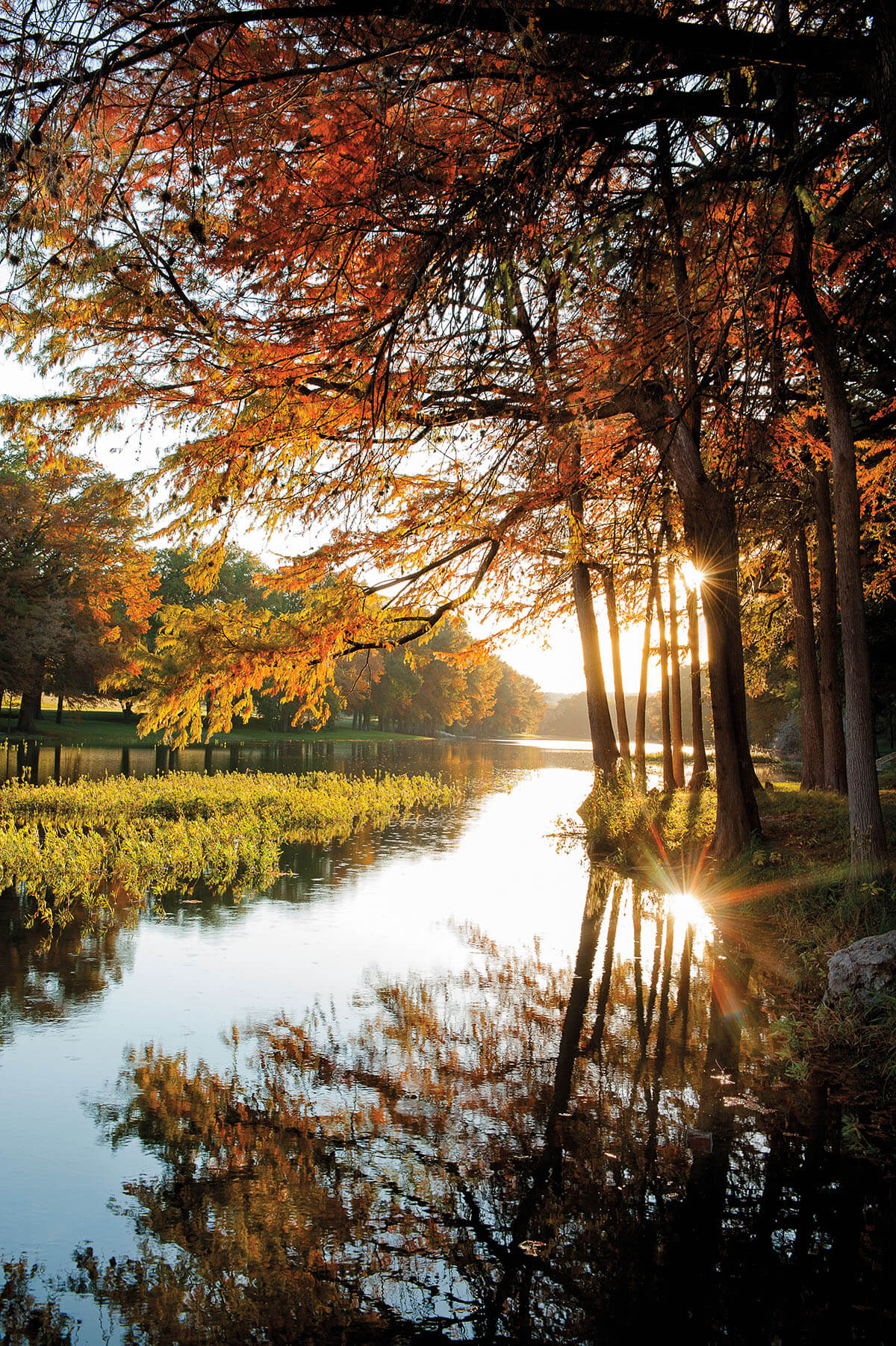 Golden trees and bright green grass reflect on clear blue water