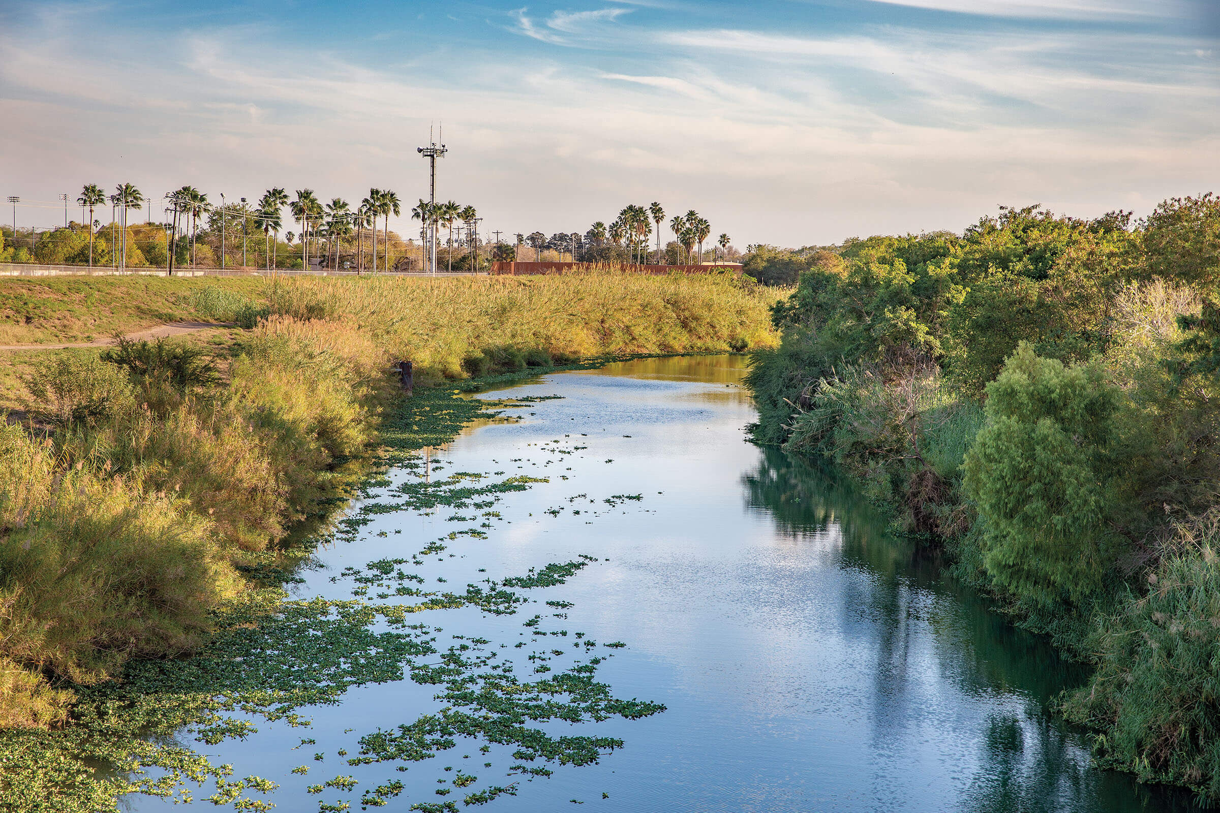 Palm trees and marshy plants line the banks of blue water with slight ripples