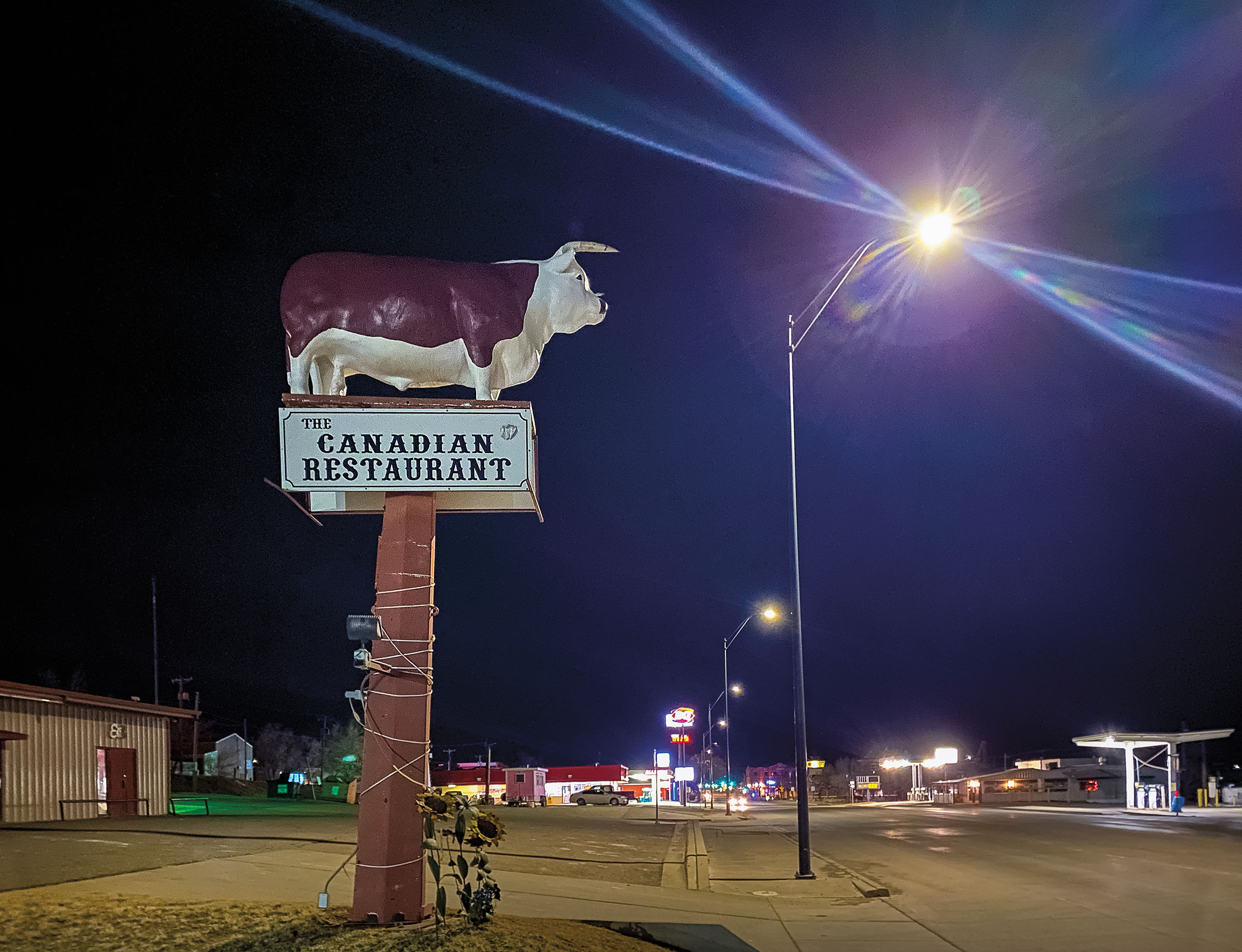 A large sculpture of a cow sits atop a sign reading "The Canadian Restaurant"