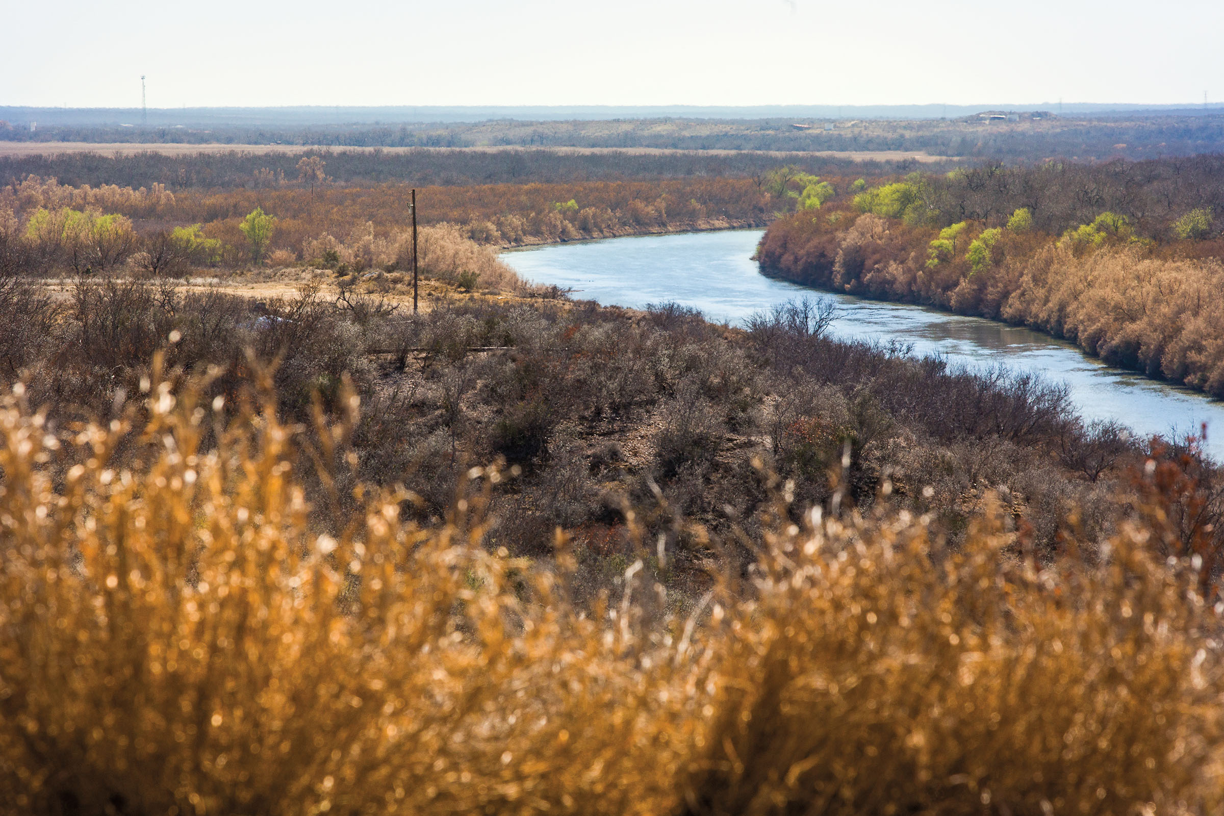 Golden grasses sit in front of the blue water of a winding river