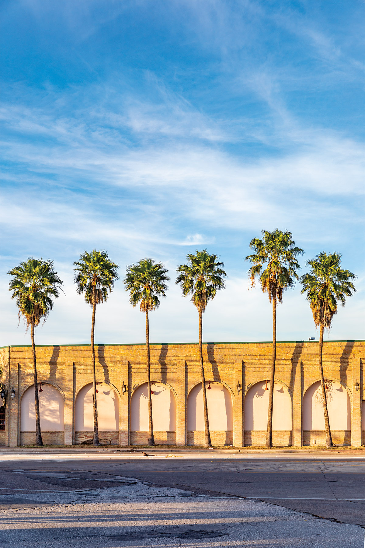 Palm trees sway above a golden building with archways beneath a clear blue sky