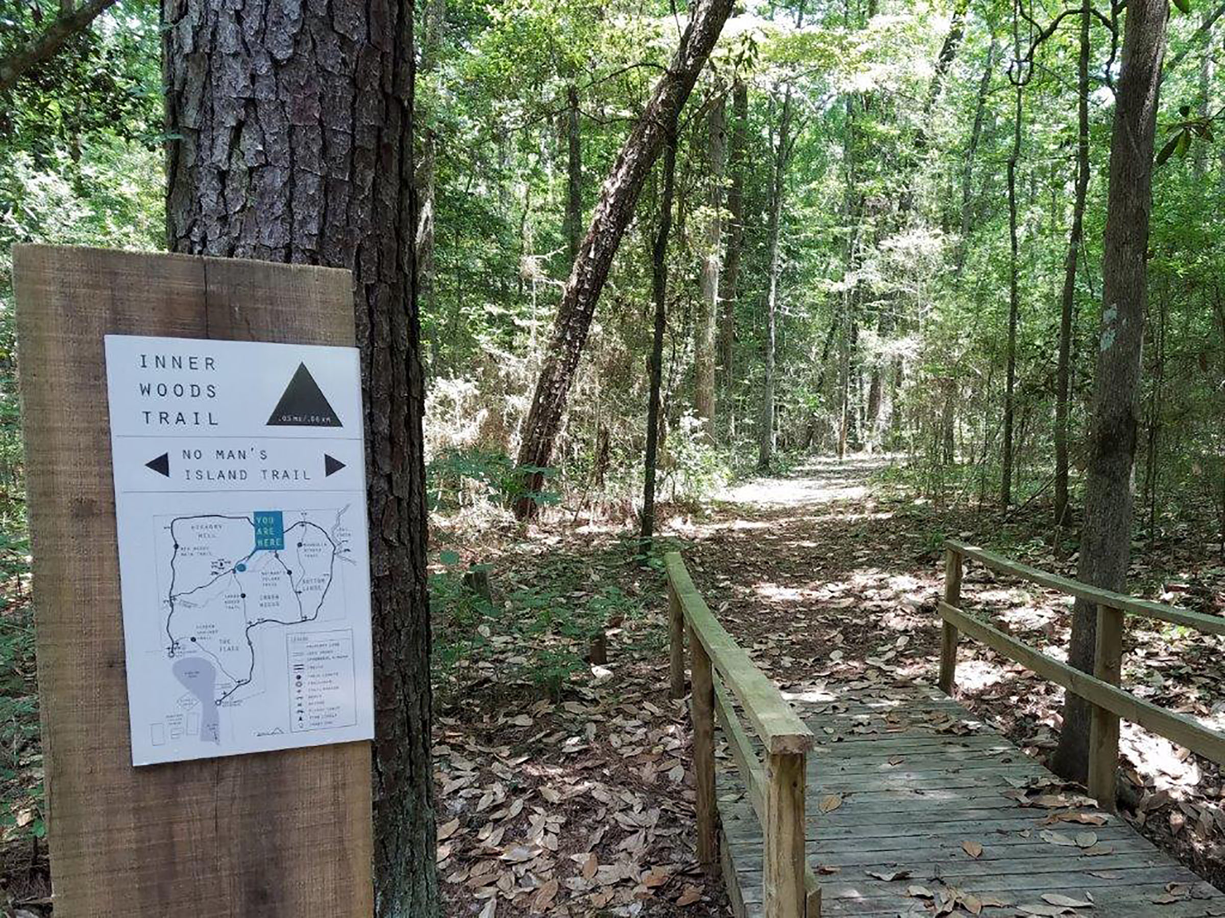 Woodville’s Refurbished Big Woods Nature Trail Is a Hidden Gem Worth Discovering