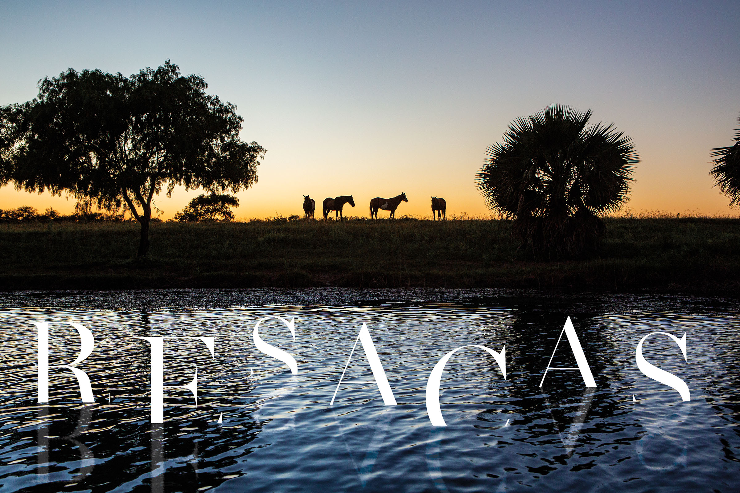 Horses stand on the bank of a body of water under palm trees in an orange sunset