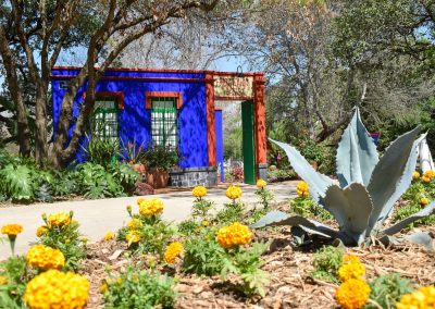 Experience Frida Kahlo’s Casa Azul Without Leaving Texas