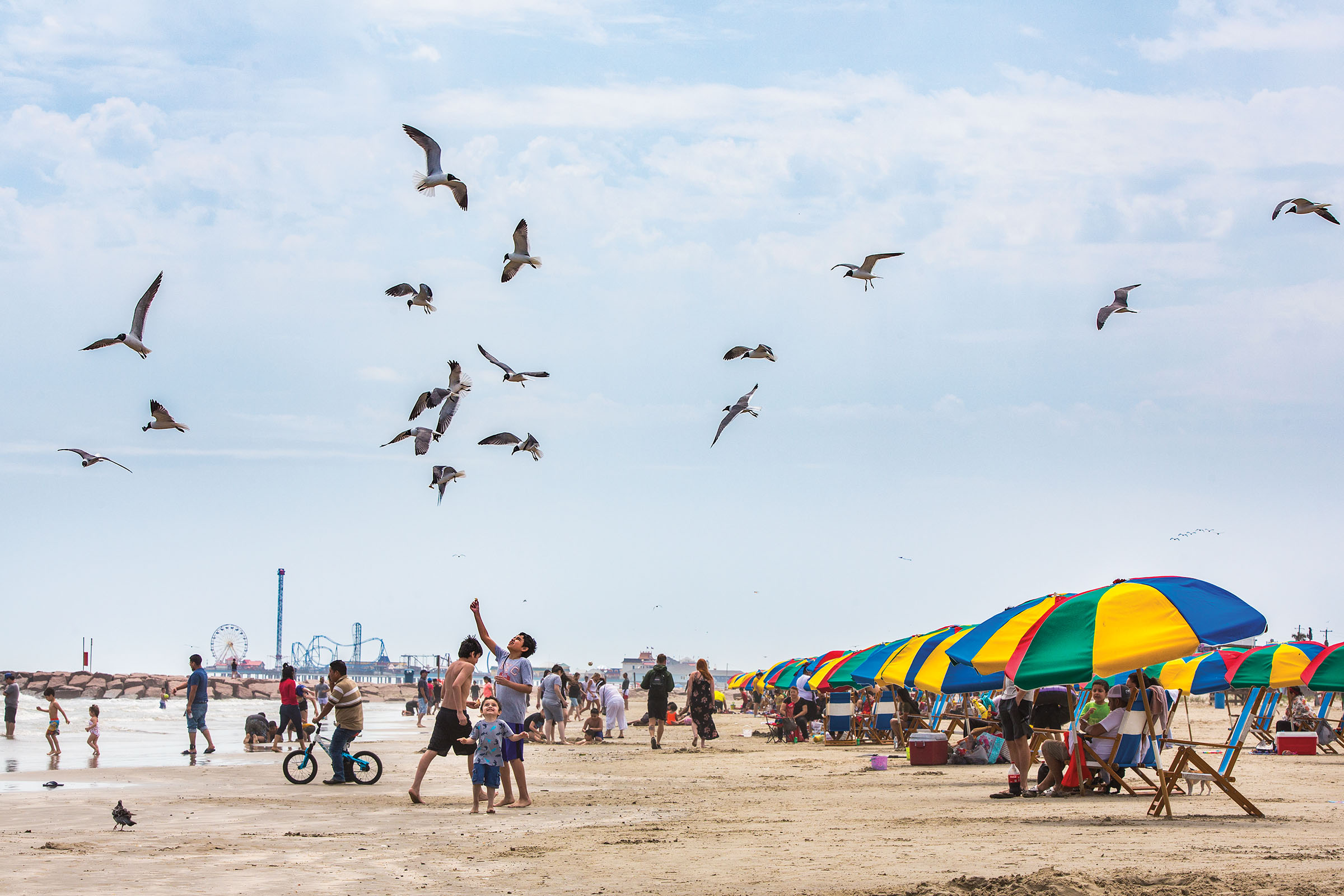 Blue sky with birds and a beach scene with colorful umbrellas and beachwalkers