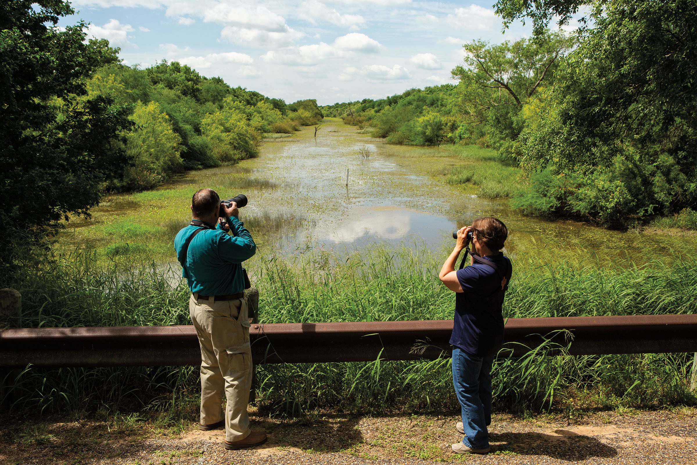 Two people stand with binoculars looking at birds above bright green grasses and muddy water