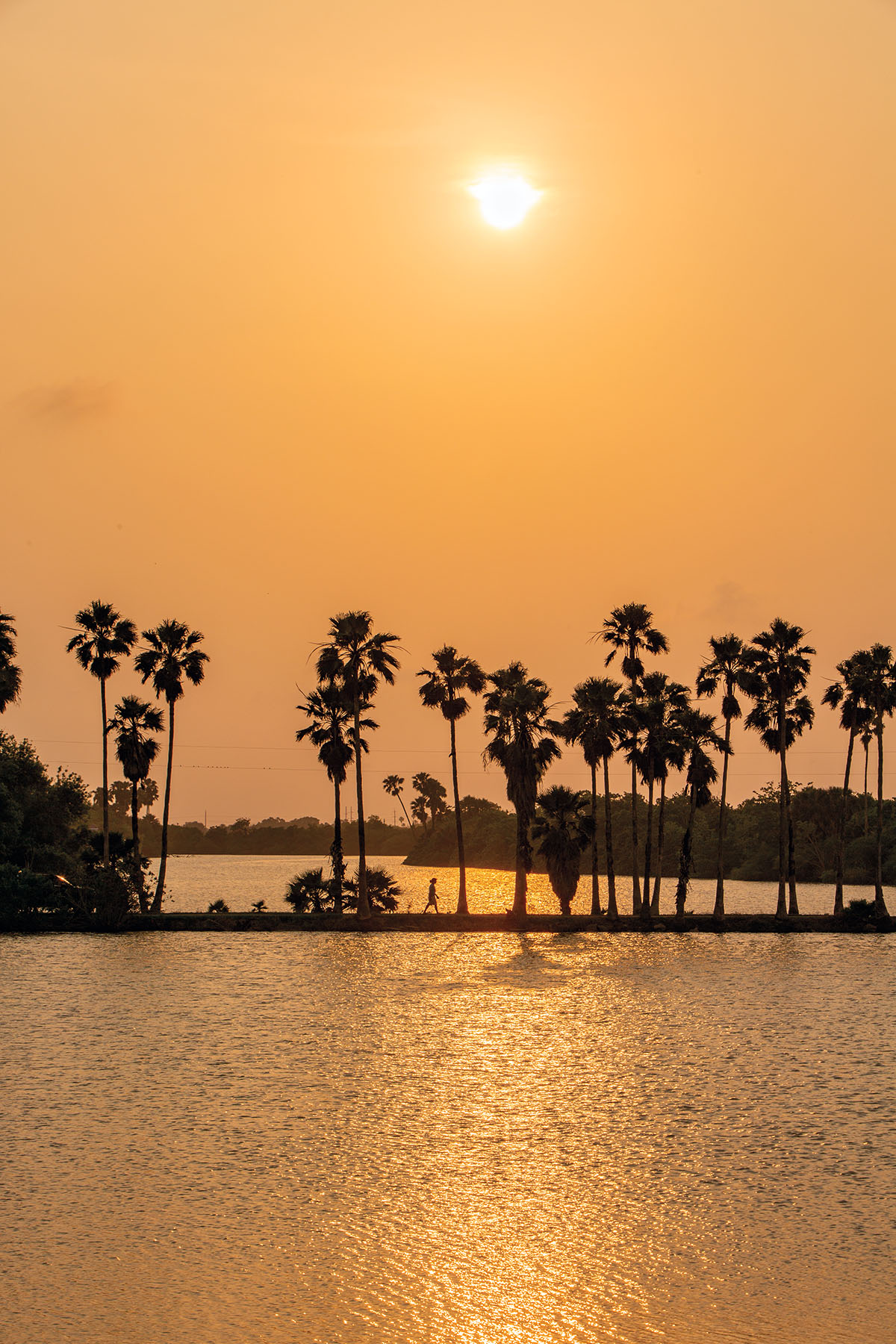A golden sun over dark palm trees reflecting in clear water