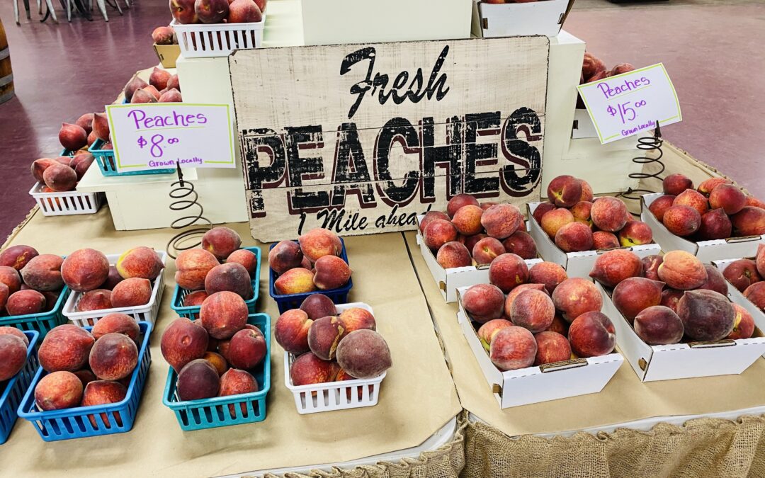 Texas Peach Growers See a Bountiful Crop Despite the February Freeze
