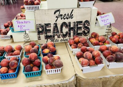 Texas Peach Growers See a Bountiful Crop Despite the February Freeze