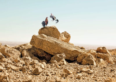 A Photographer Highlights the Multidimensional Beauty of El Paso