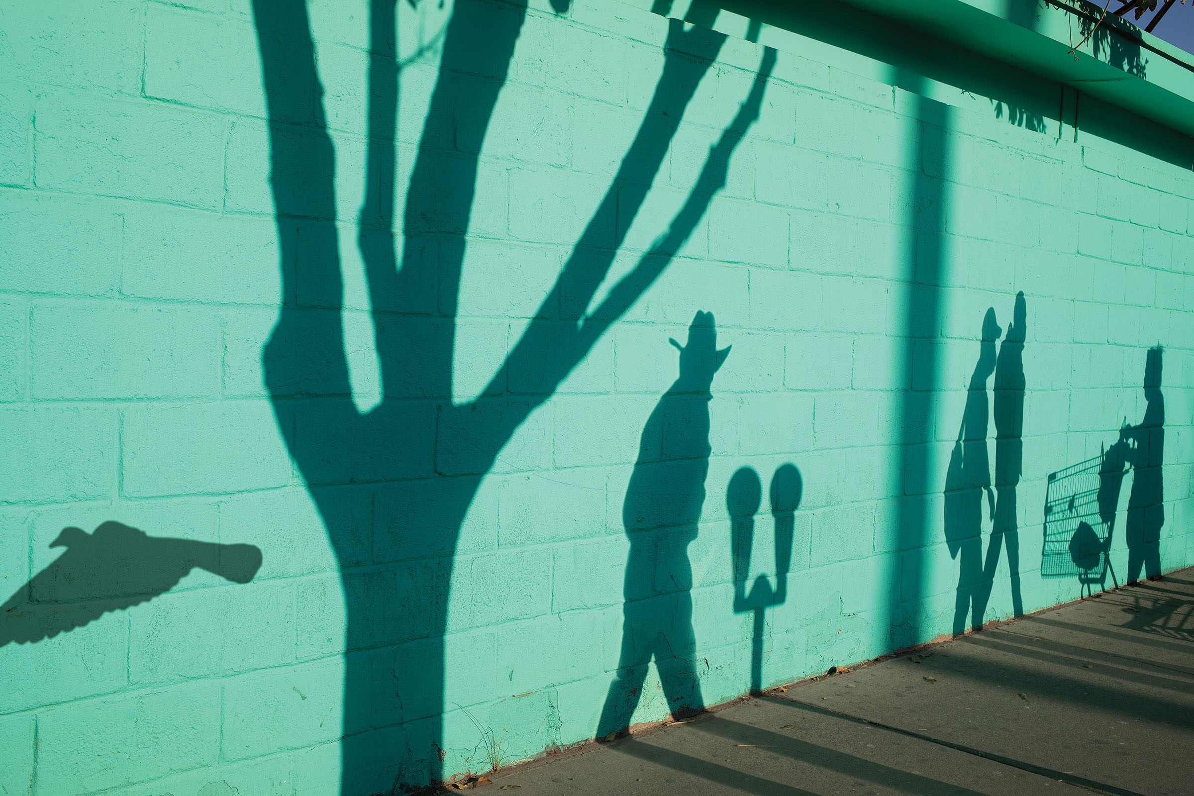 A green wall with dark green figures walking in what appear to be shadows