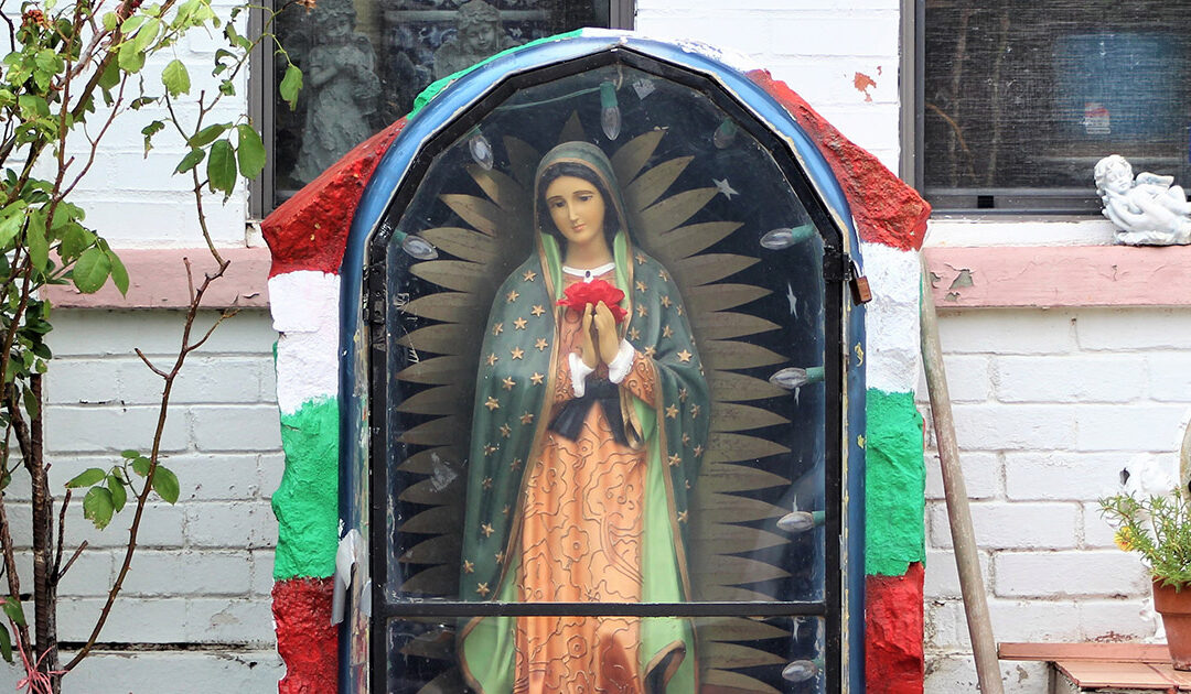 The El Paso Altars to La Virgen de Guadalupe