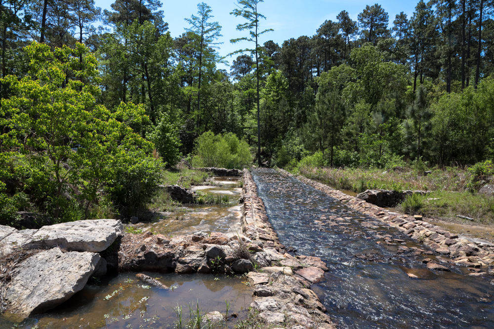 A rock spillway full of water going through tall green trees