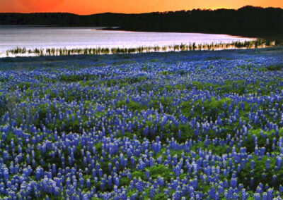 Texas to-do’s