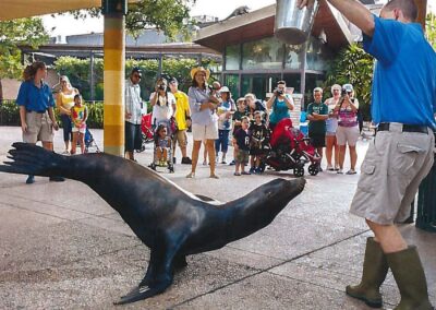 The Zoo Scoop