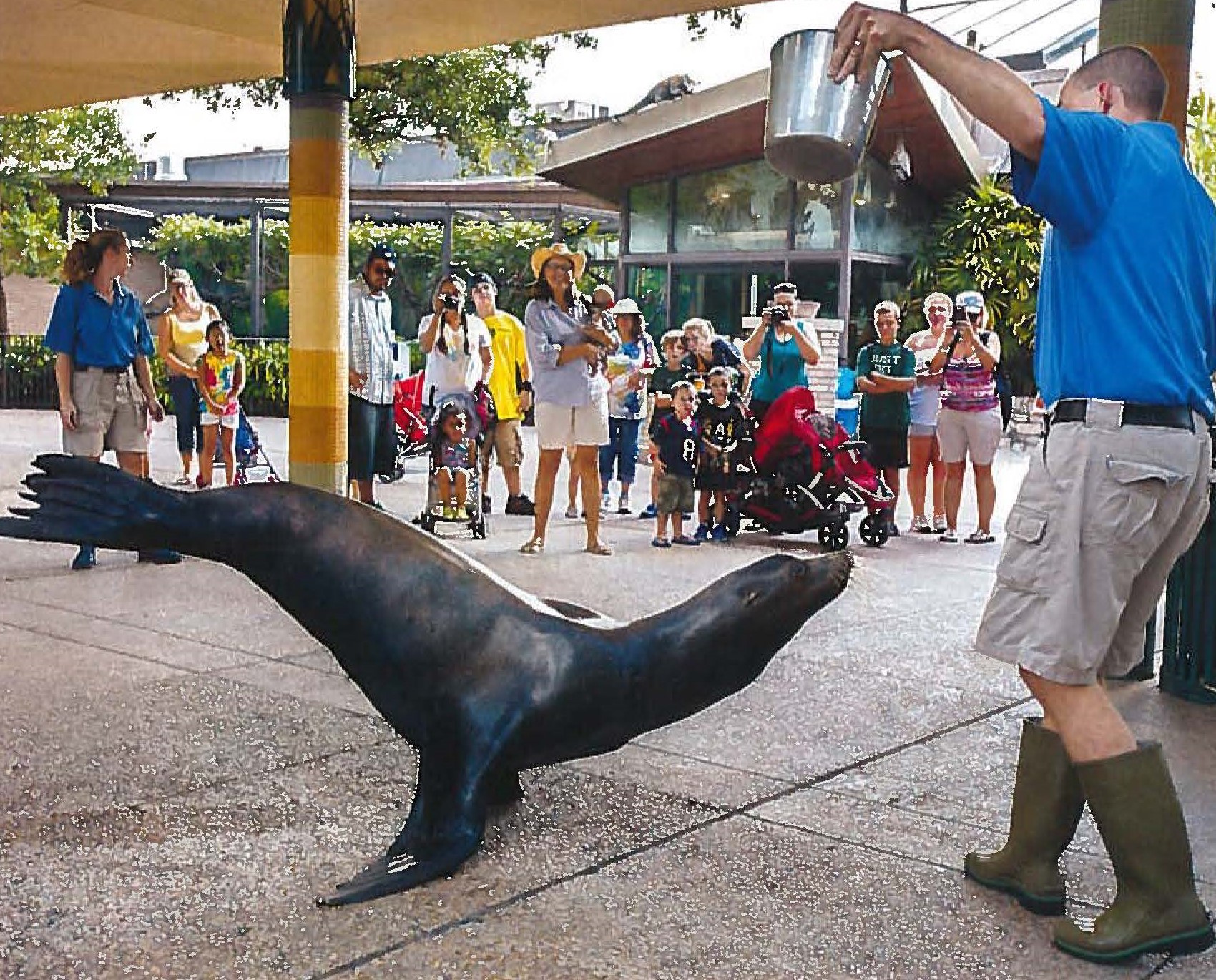 Adventure Programs - The Houston Zoo