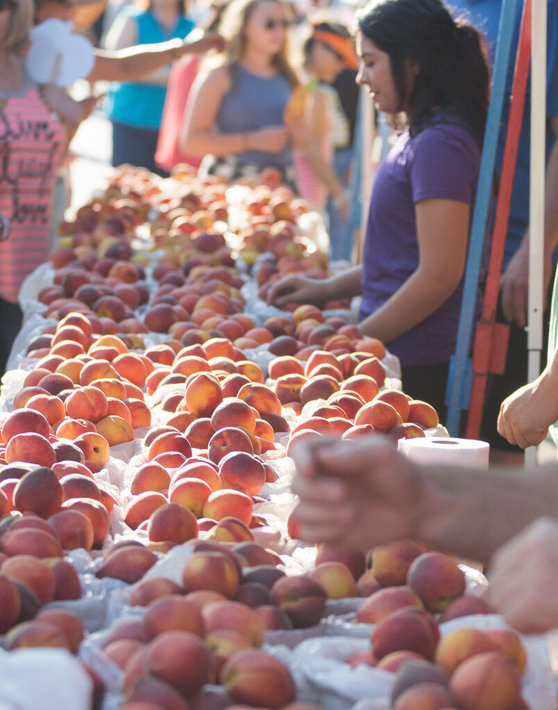 A long row of tables are strewn with hundreds of freshly picked peaches, ready for customers to buy. Weatherford Chamber of Commerce.