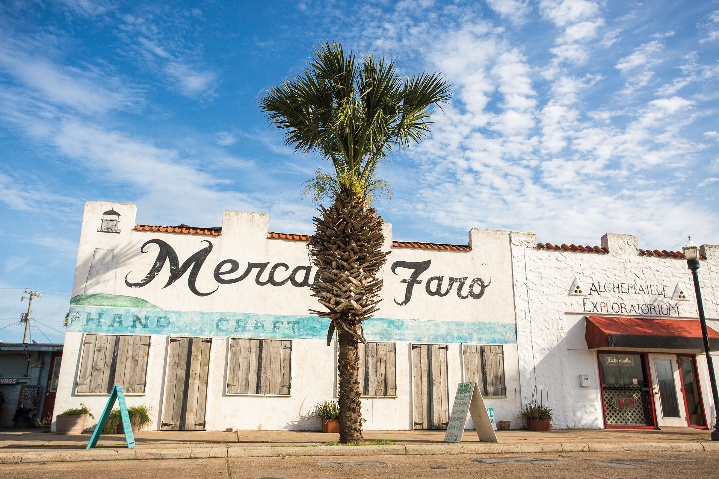 The white facade of a building reading 'Mercado Faro' behind a green palm tree   