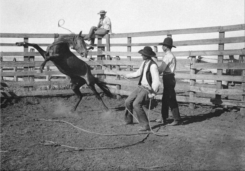 A man works with a bronc at the Matador Land and Cattle Company in Matador, Texas.