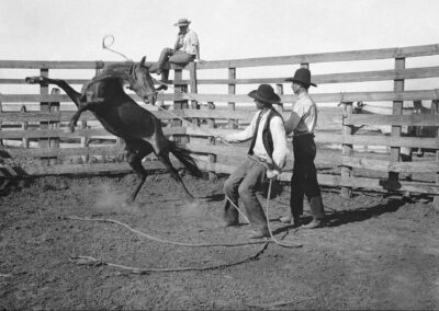 Traces of Texas’ Throwback Thursday: Matador Land and Cattle Company