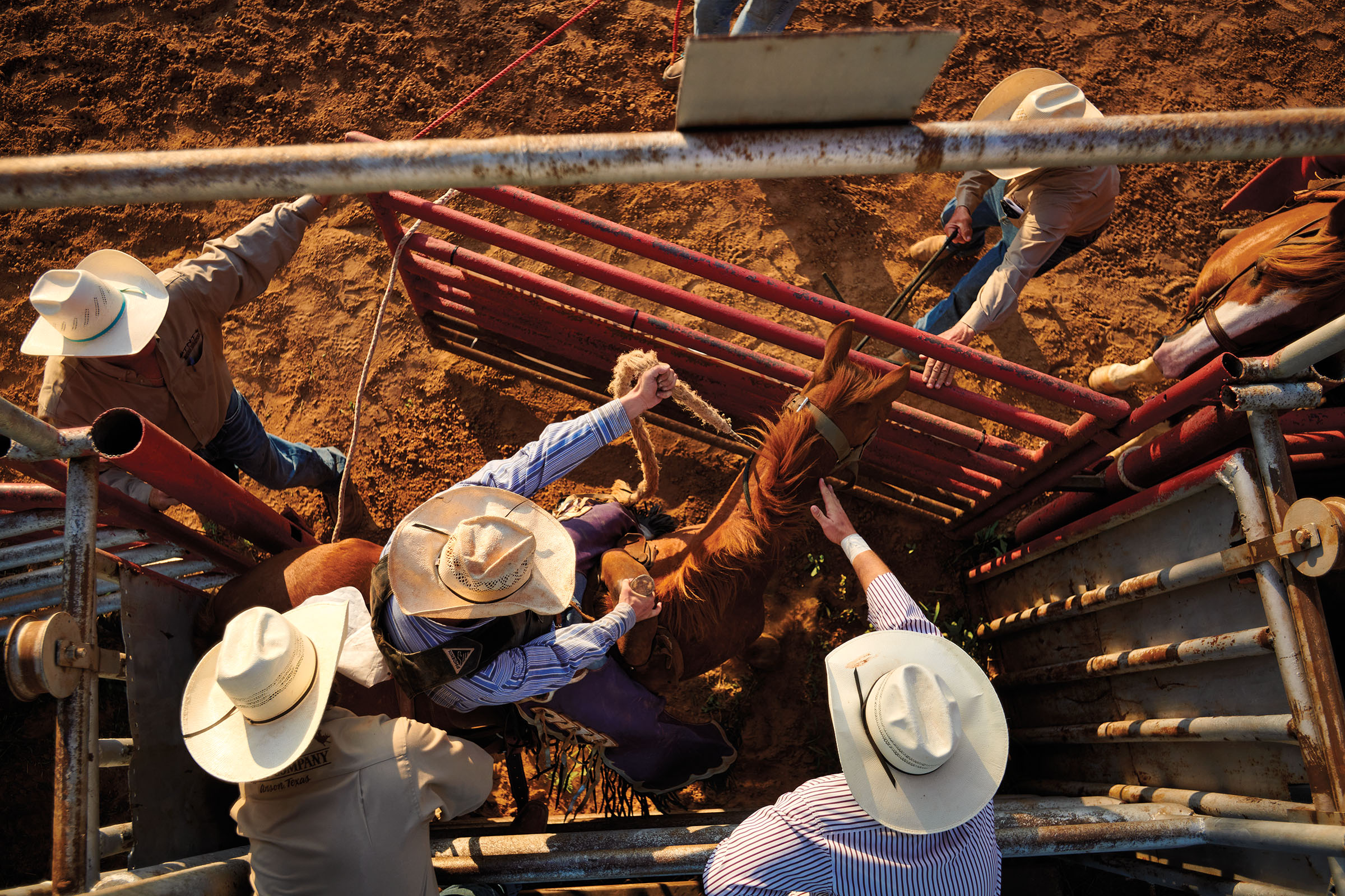 An overhead view of several men in white cowboy hats opening a gate and attempting to tame a bucking horse