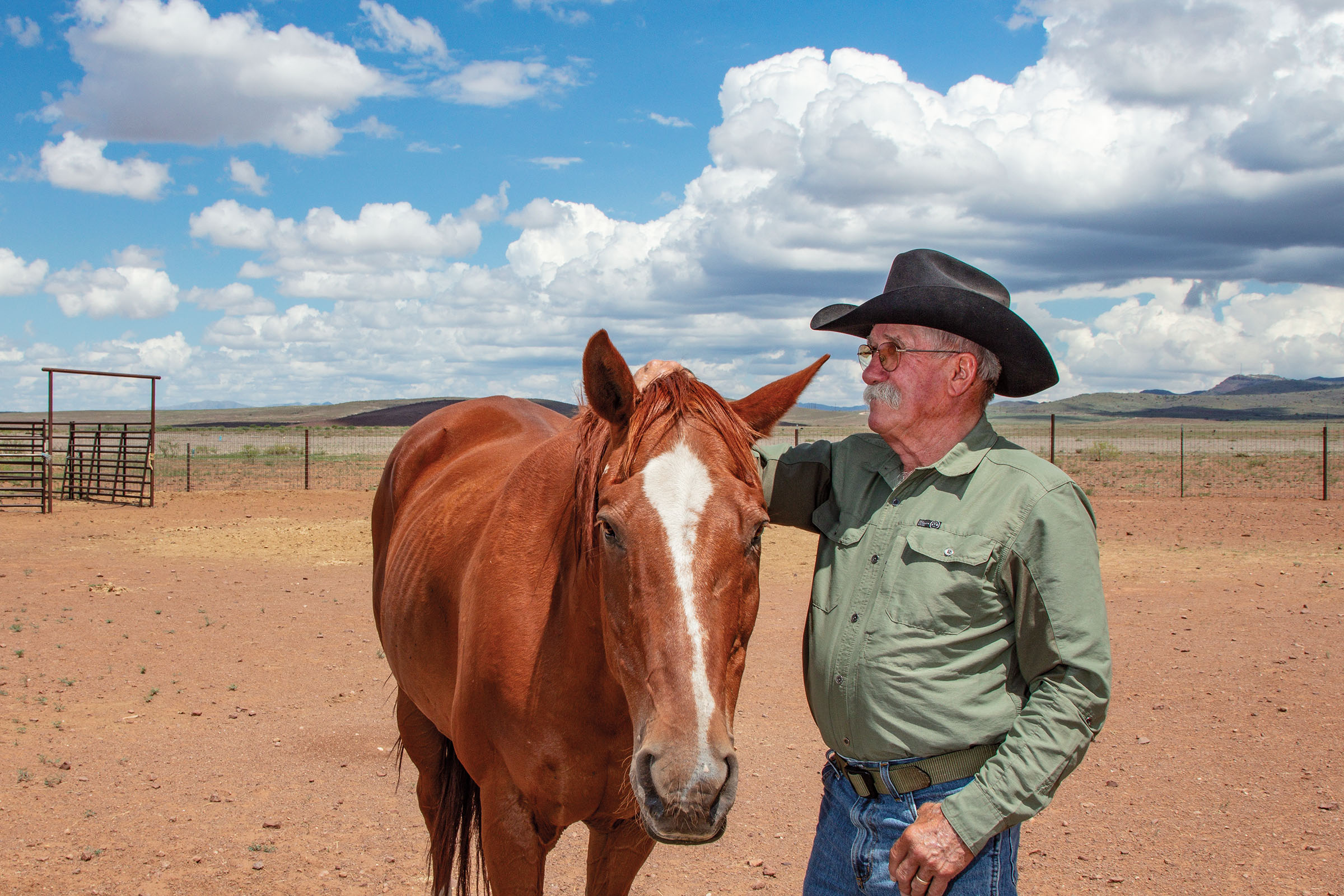 A man in a green shirt and black cowboy hat pets a horse in a dirt landscape