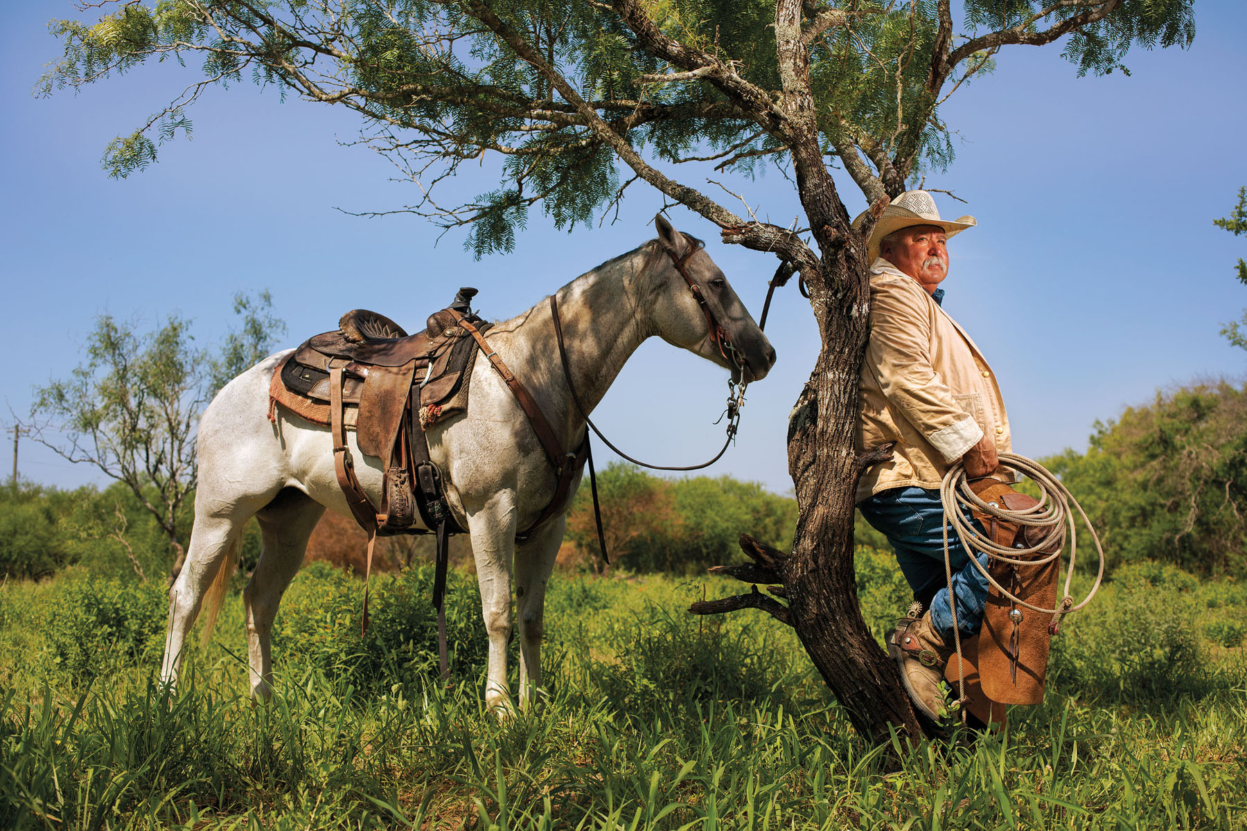 A man in a cowboy hat and jeans leans against a green tree in front of a white horse with a saddle