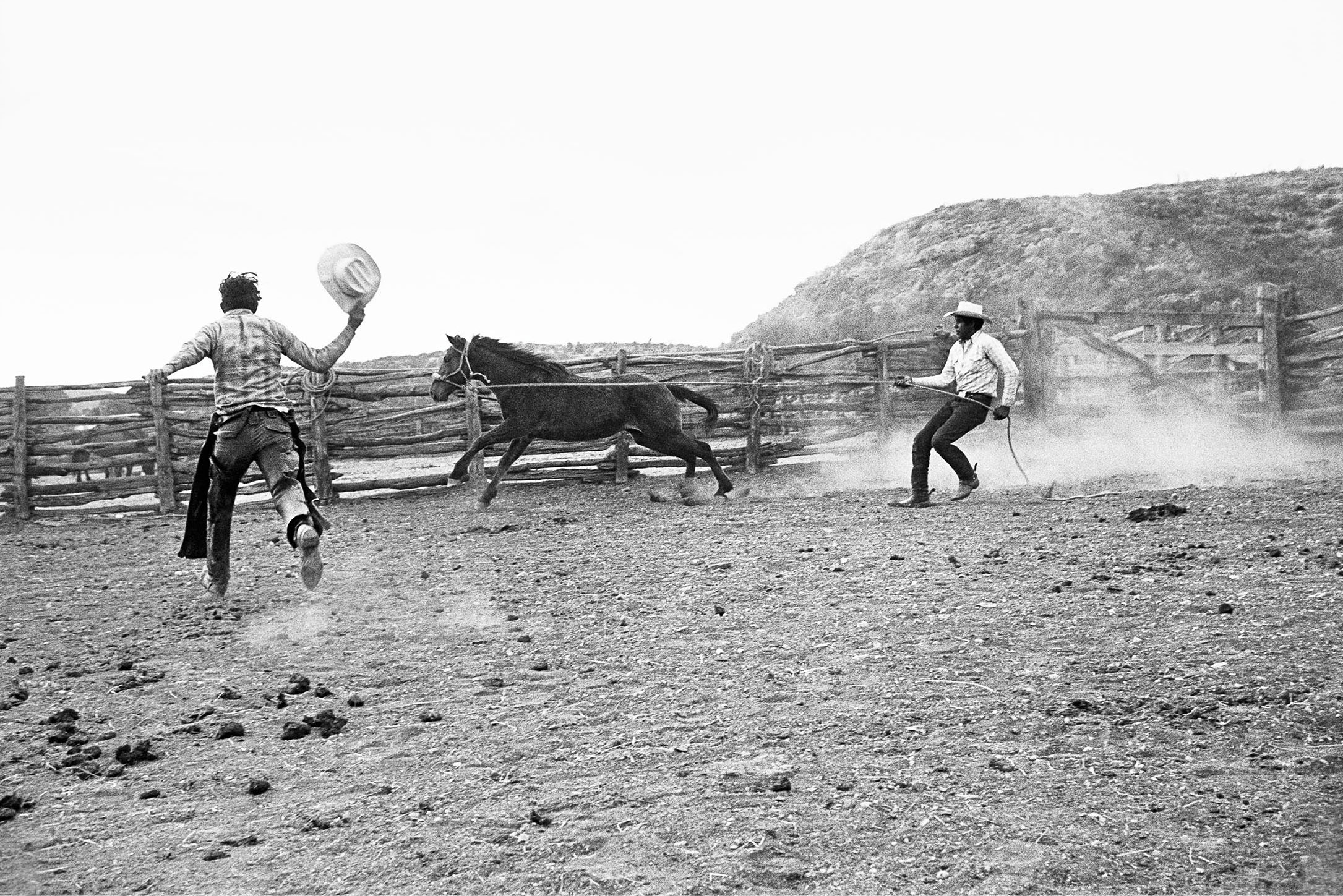 A black and white photograph of two men in the dust wrangling a horse
