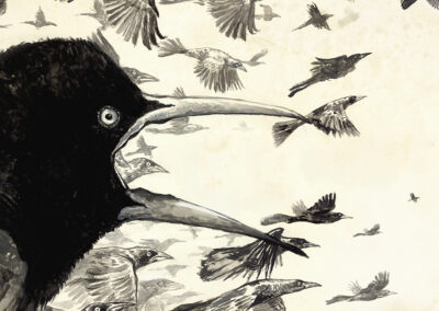 In Defense of the Grackle, the Bird Texans Love to Hate