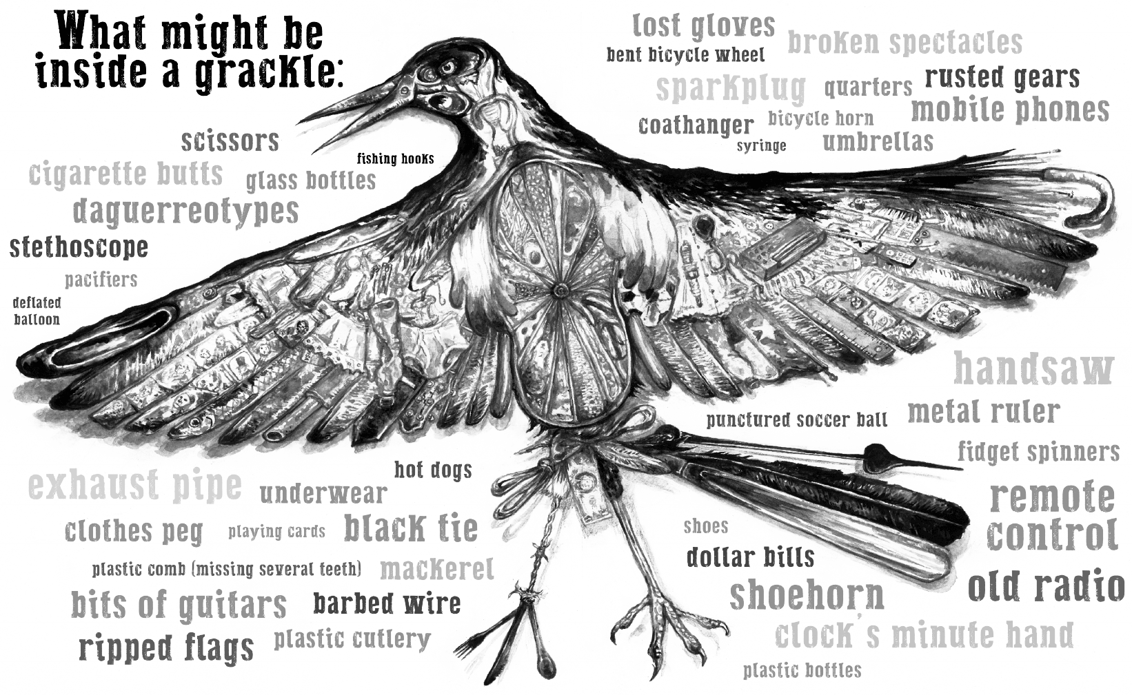 What might be inside a grackle? Items include scissors, daguerrotypes, stethoscope, pacifiers, clothes peg, black tie, barbed wire, ripped flags, plastic cutlery, lost goloves, coathanger, dollar bills, shoehorn, plastic bottles, punctured soccer ball, and more, illustrated in the shape of a great-tailed grackle