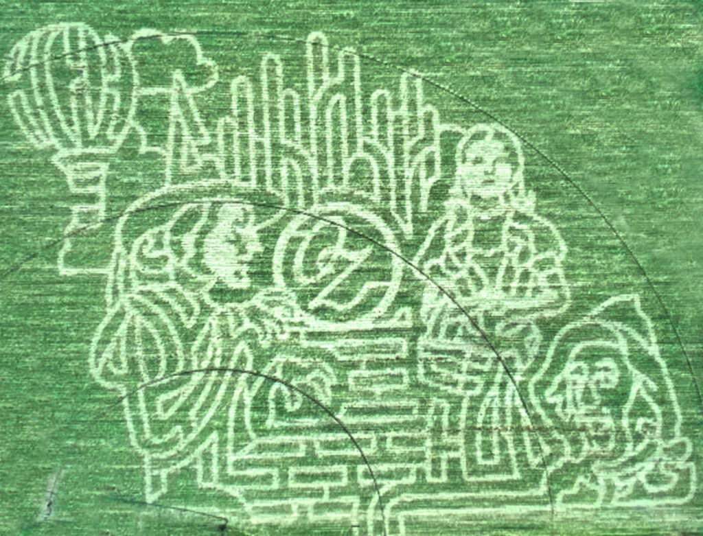 An overhead view of a green corn maze with an intricate design featuring a hot air balloon, witch in a hat, the word "Oz", Dorothy and Scarecrow
