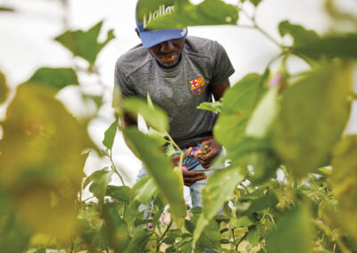 How Texas’ Refugee Population Has Enriched Our Culinary Community