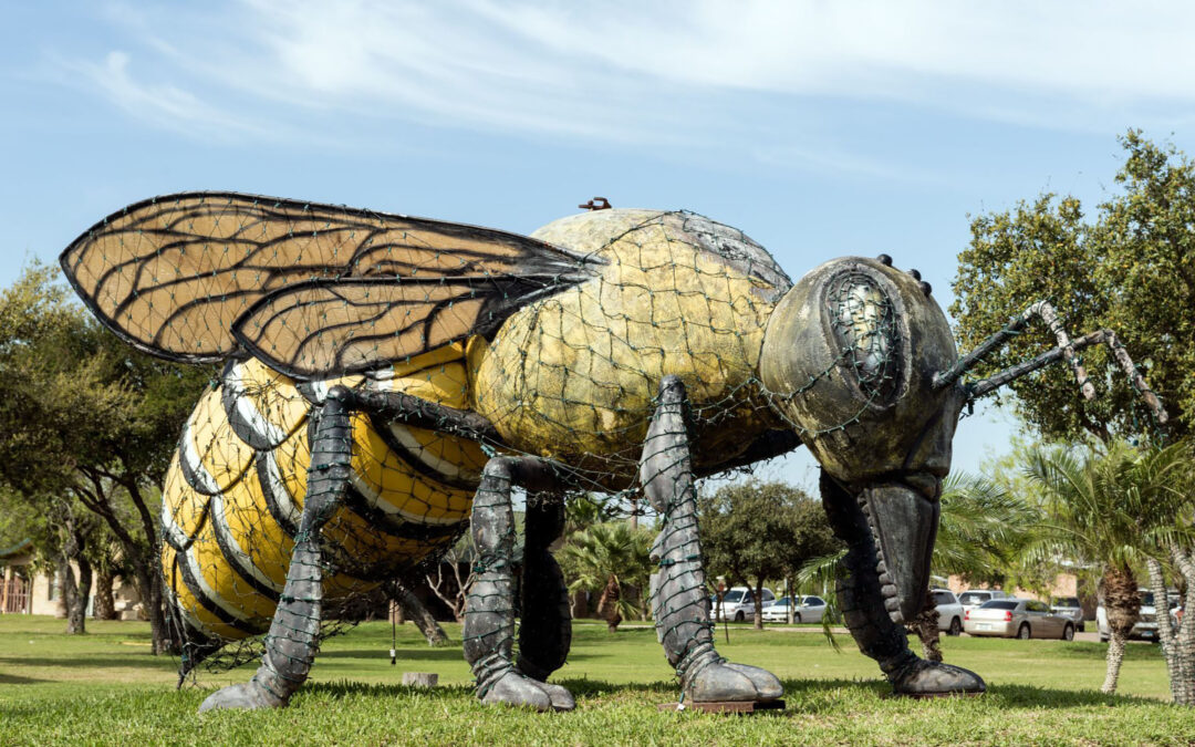 Roadside Oddity: The Killer Bee of Hidalgo, Texas
