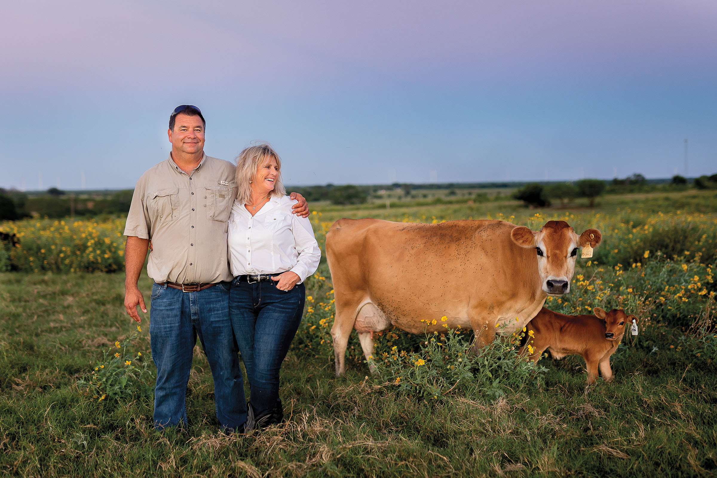 Two people stand in a field next to a large brown cow and a baby cow, under a blue-pink sunset sky