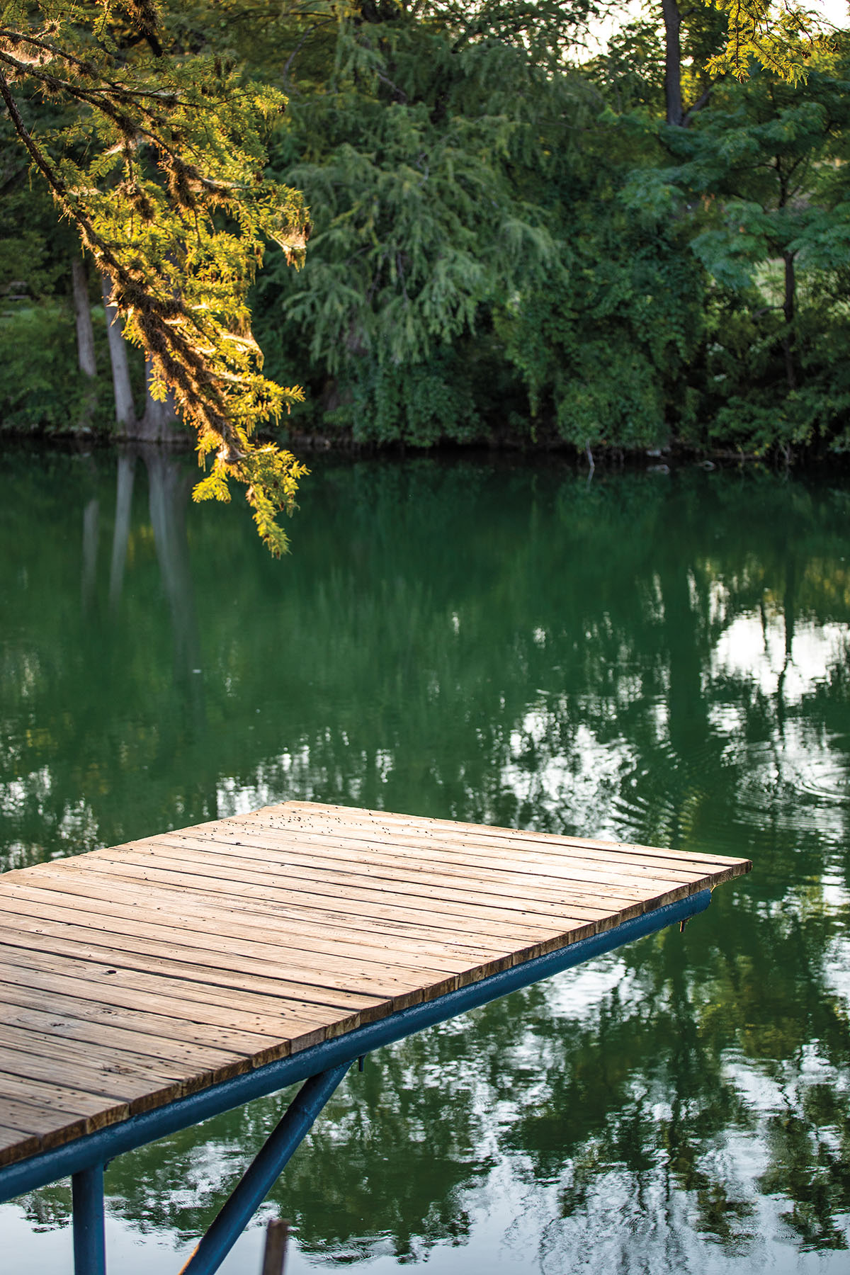 Golden tree branches hang over crystal-clear blue green water and a wooden dock