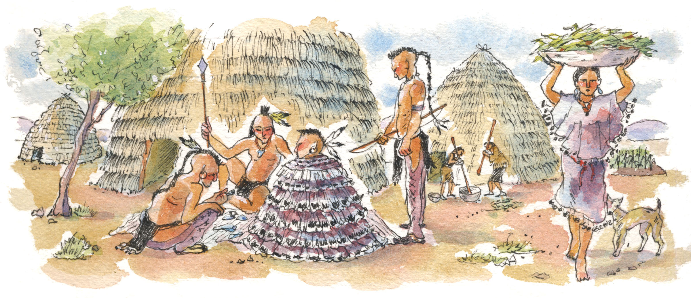 An illustration of Native Americans decorating a person with many purple feathers and another person carrying a large basket of corn