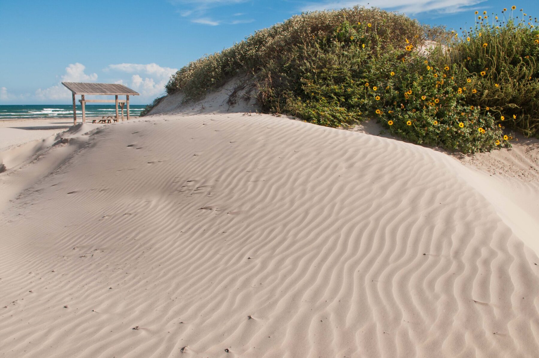 Color photo of a sandy beach