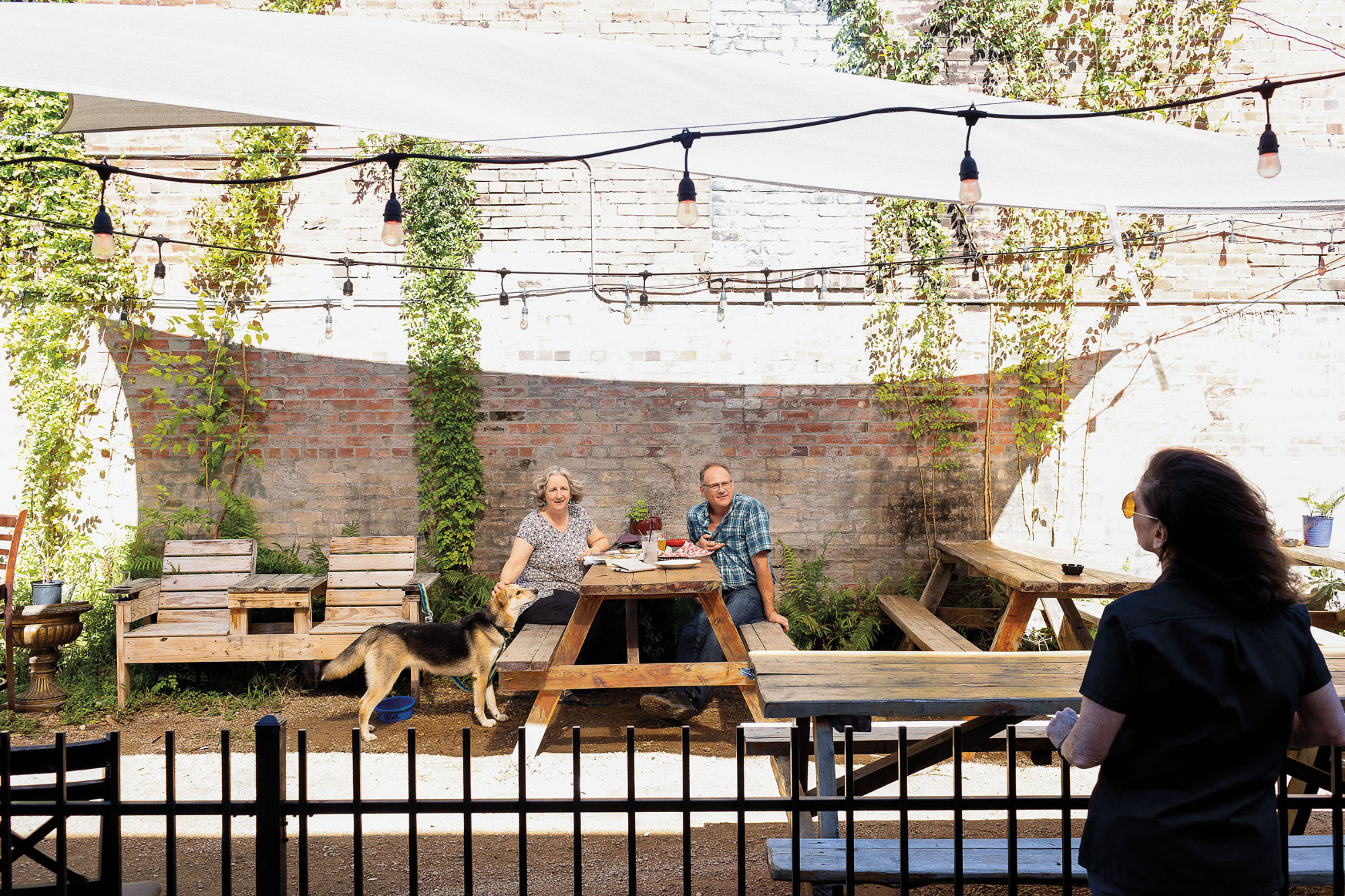 Two people sit at a picnic table with a dog while talking to another person closer to the camera. They are in an outdoor setting with string lights and draping ivy on a brick wall.