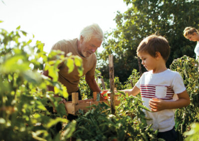 How to Start a Vegetable Garden in Texas