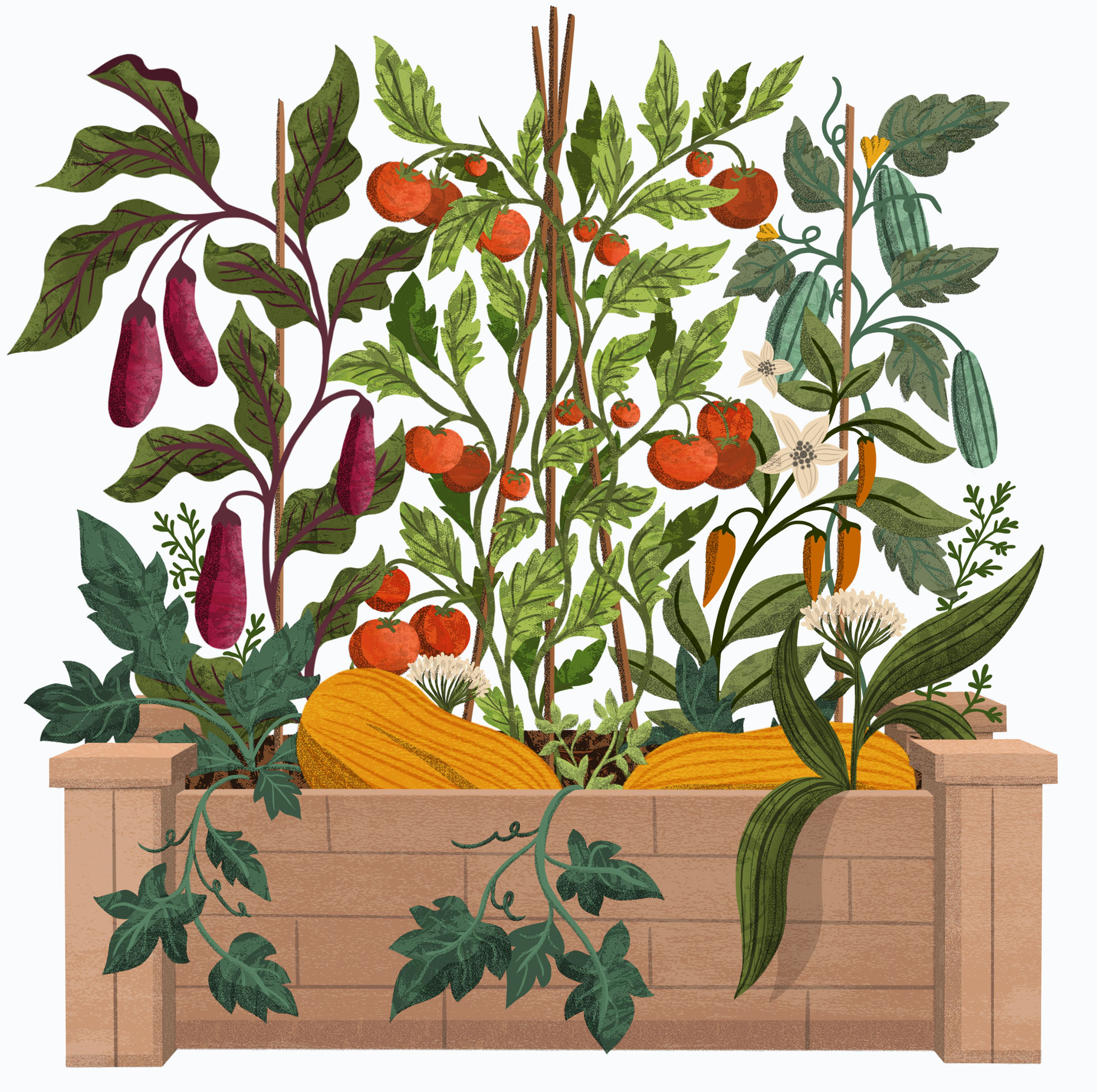 An illustration of vegetables growing vertically in a garden