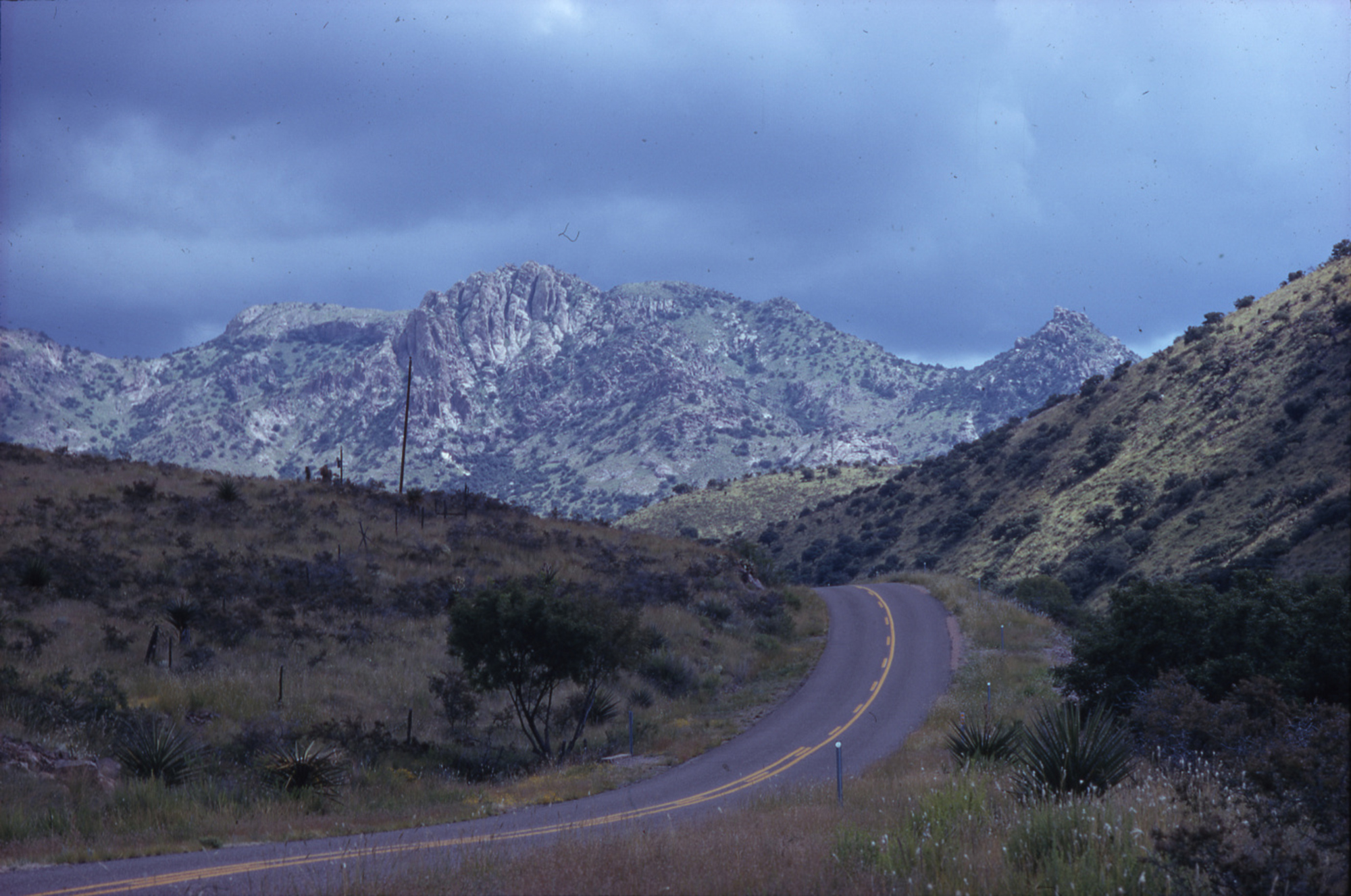a road curves around the Davis Mountains