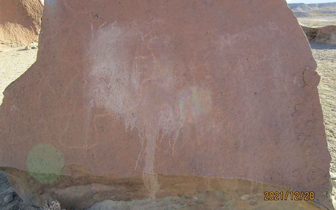 Vandalism at Big Bend National Park a ‘Gut Punch’ for Texas Heritage