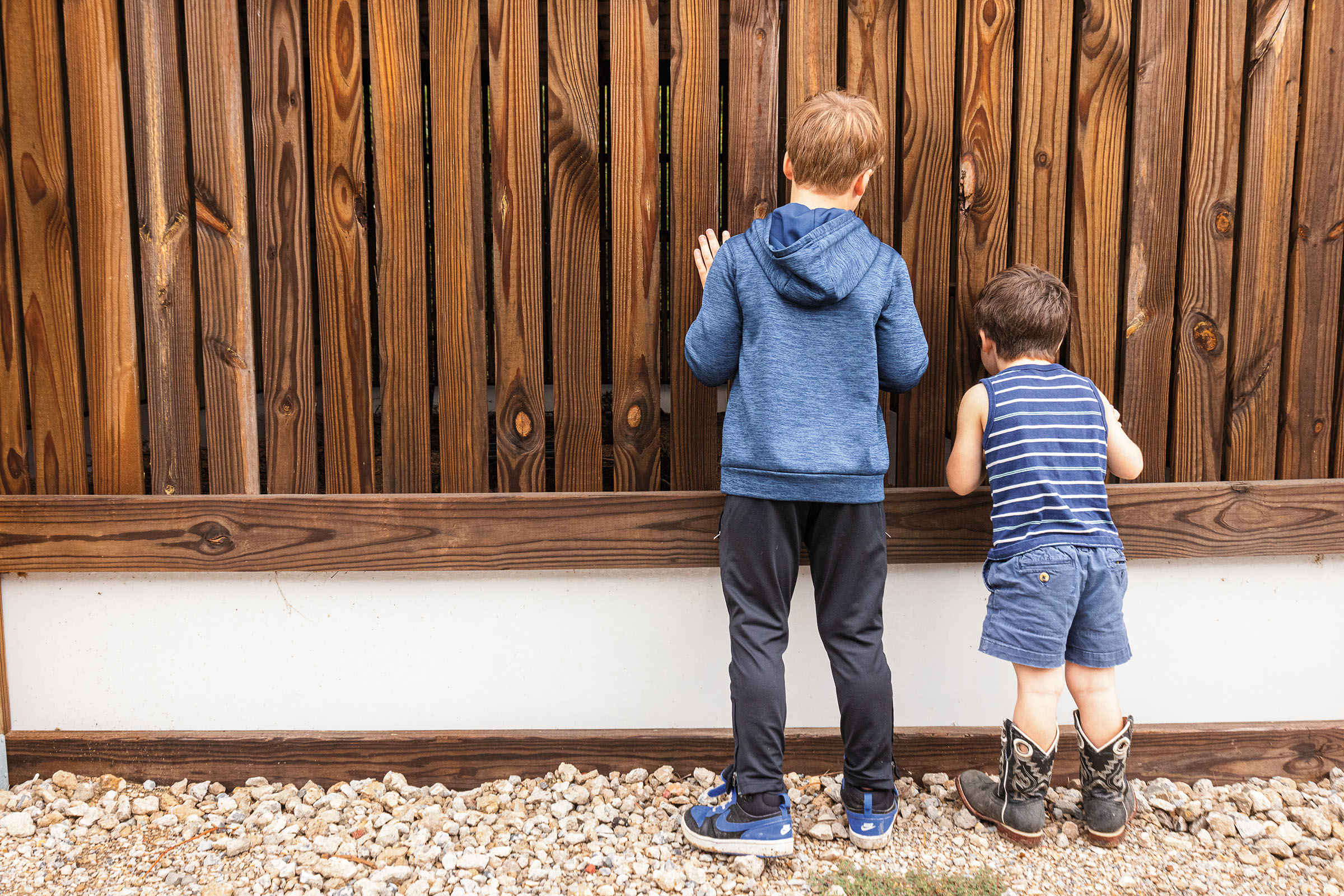 Two young boys look through the cracks of a vertically-paneled wood wall