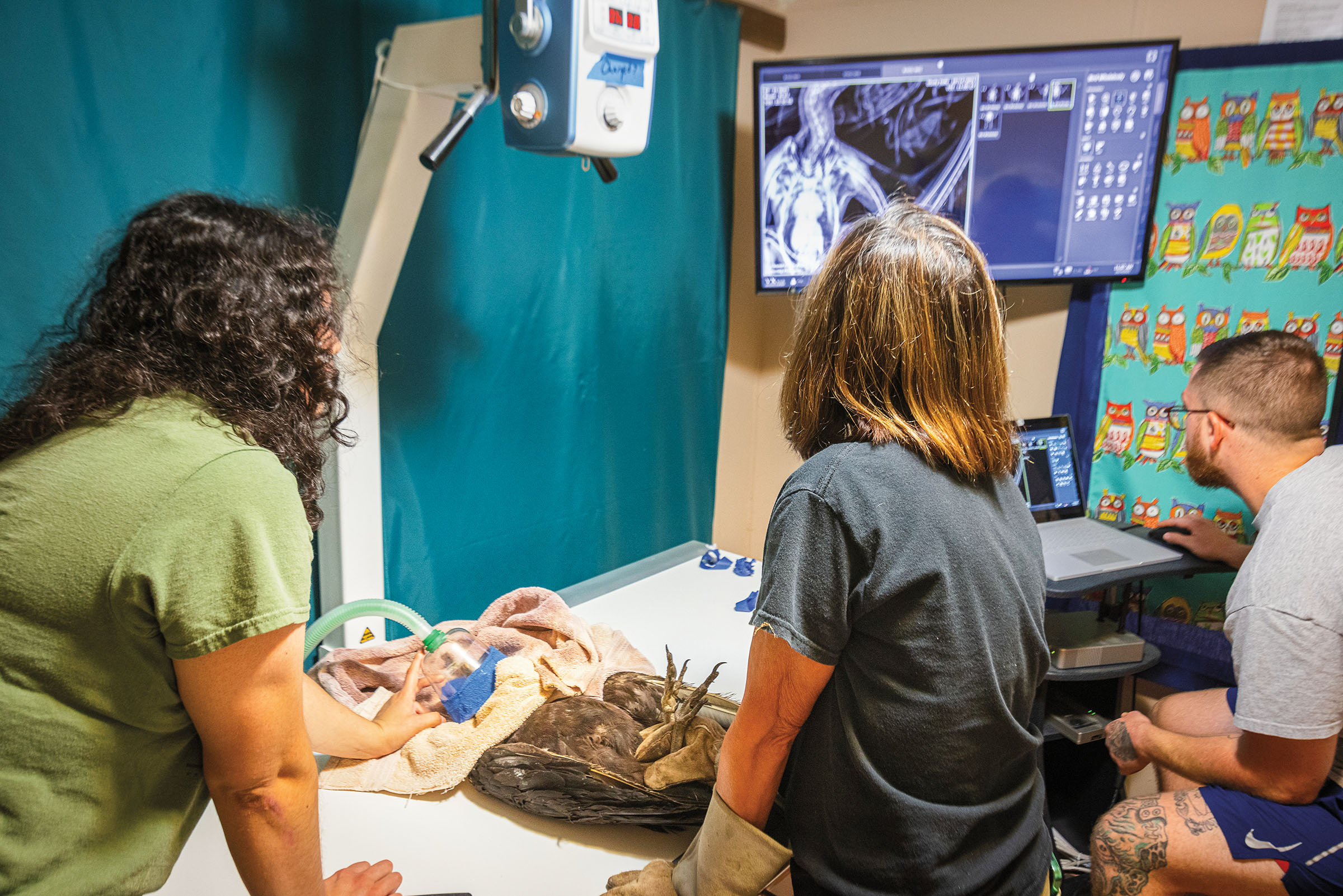 A group of people use an x-ray machine to look at the leg of a bird laying on an operating table