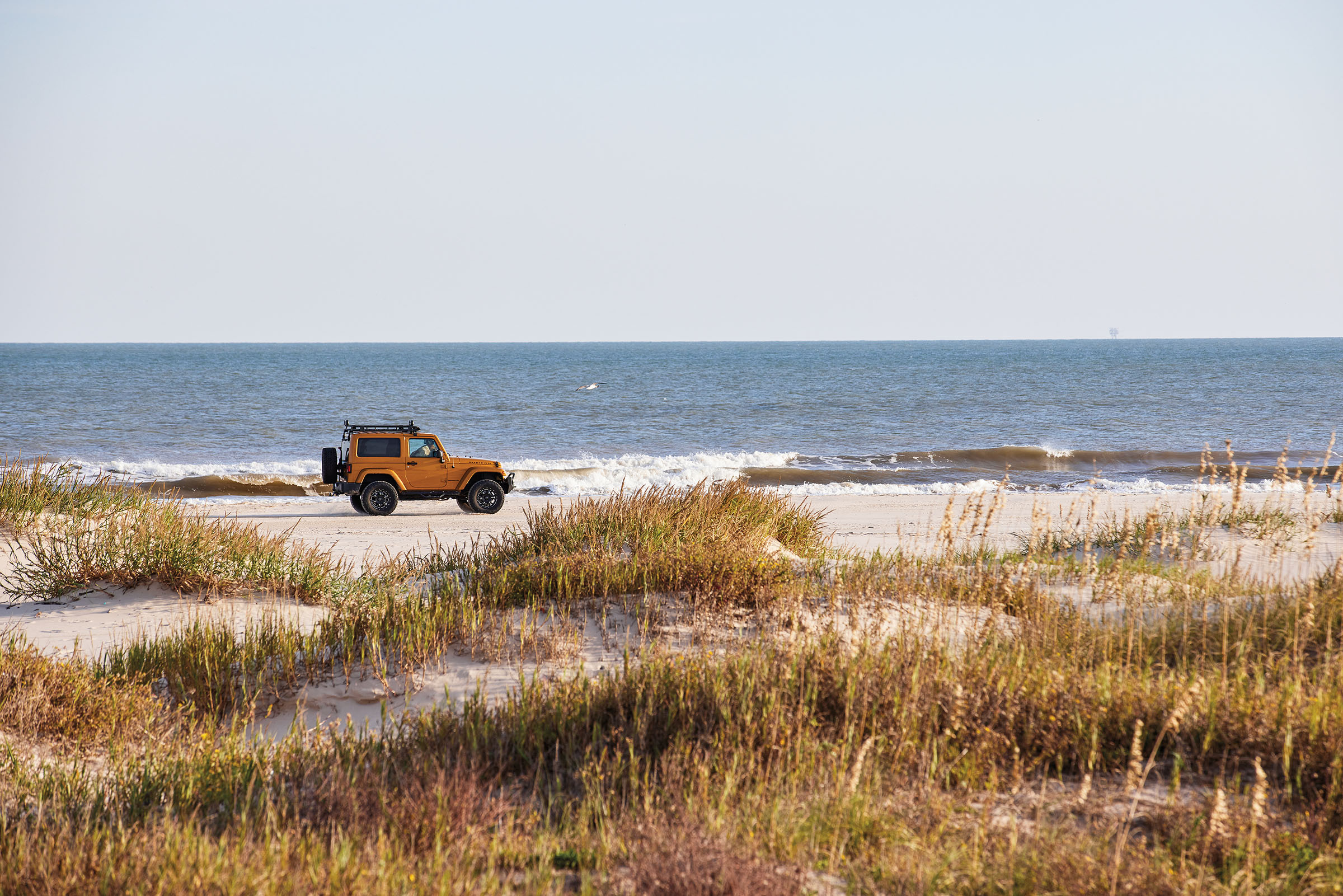 An orange jeep drives across a grassy, sandy beach in front of water