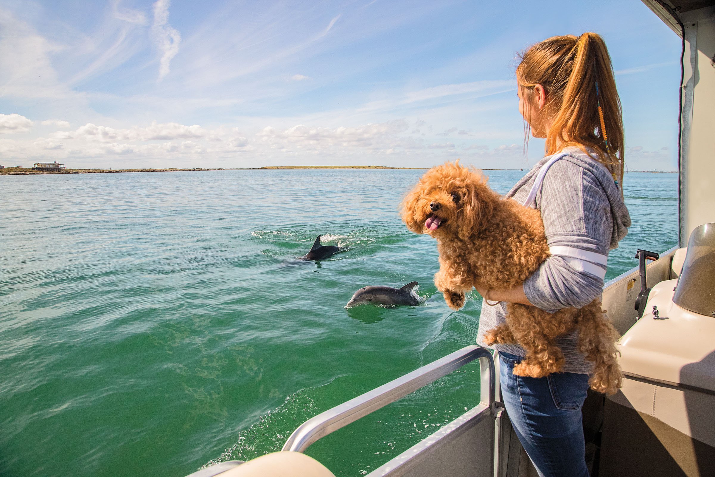 A woman holds a curly-haired golden dog off the side of a boat while dolphins swim by in clear water
