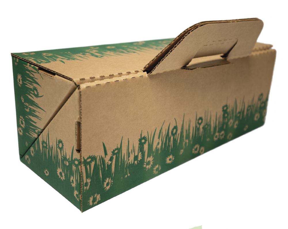 A cardboard portable litter box with decorative green grass and flowers design on the side
