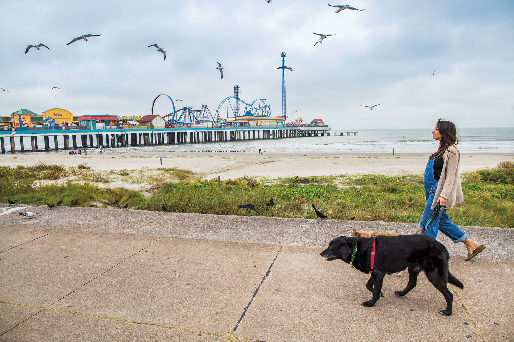 A woman in blue overalls walks a large black dog along a sidewalk with Galveston's iconic Pleasure Pier and the Gulf of Mexico in the background