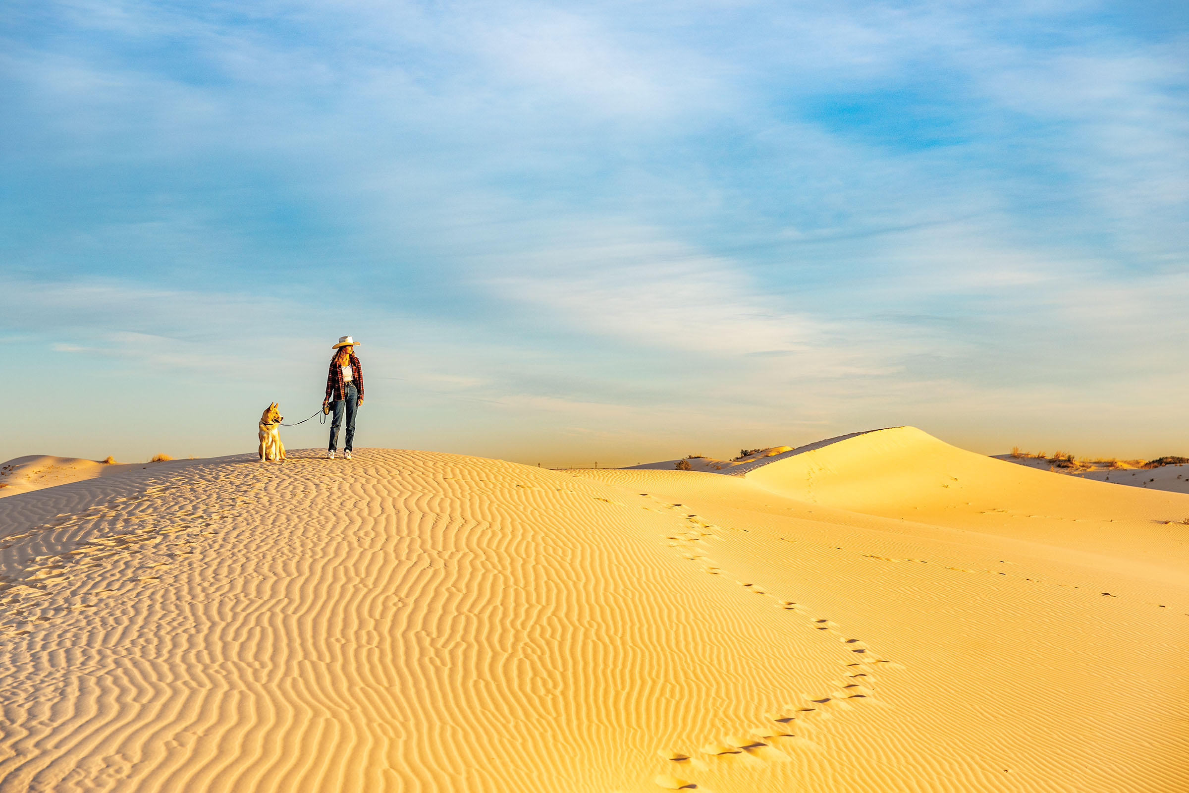 A woman in a hat holds a leashed dog at the top of a large, golden sand dune